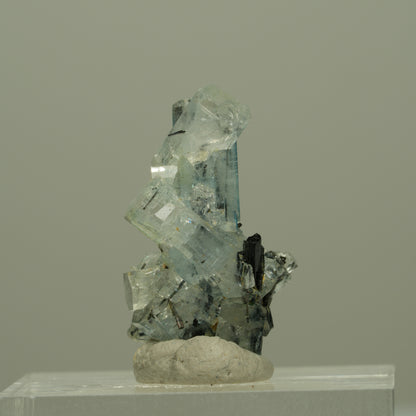 Seltene Aquamarin, Schörl Turmalin Stufe Erongo, Namibia 22*15*10mm #14962