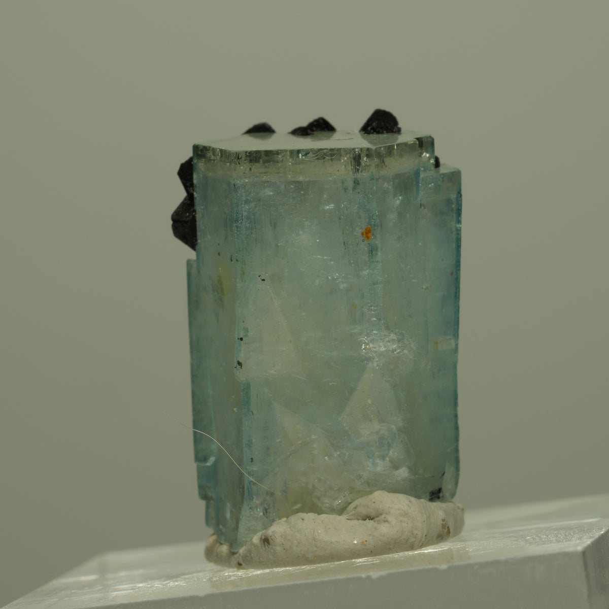 Aquamarin, Fluorit, Schörl Turmalin, Muskovit Stufe Erongo, Namibia 21*14*13mm #14973