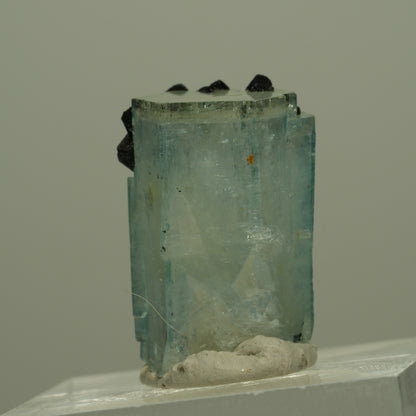 Aquamarin, Fluorit, Schörl Turmalin, Muskovit Stufe Erongo, Namibia 21*14*13mm #14973