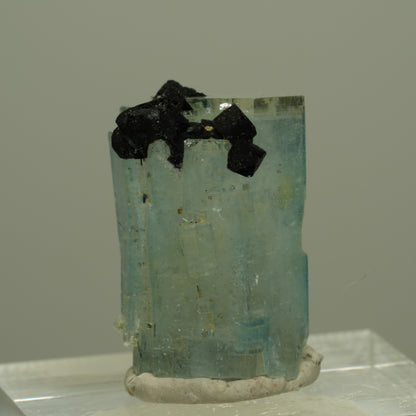 Aquamarin, Fluorit, Schörl Turmalin, Muskovit Stufe Erongo, Namibia 21*14*13mm #14973