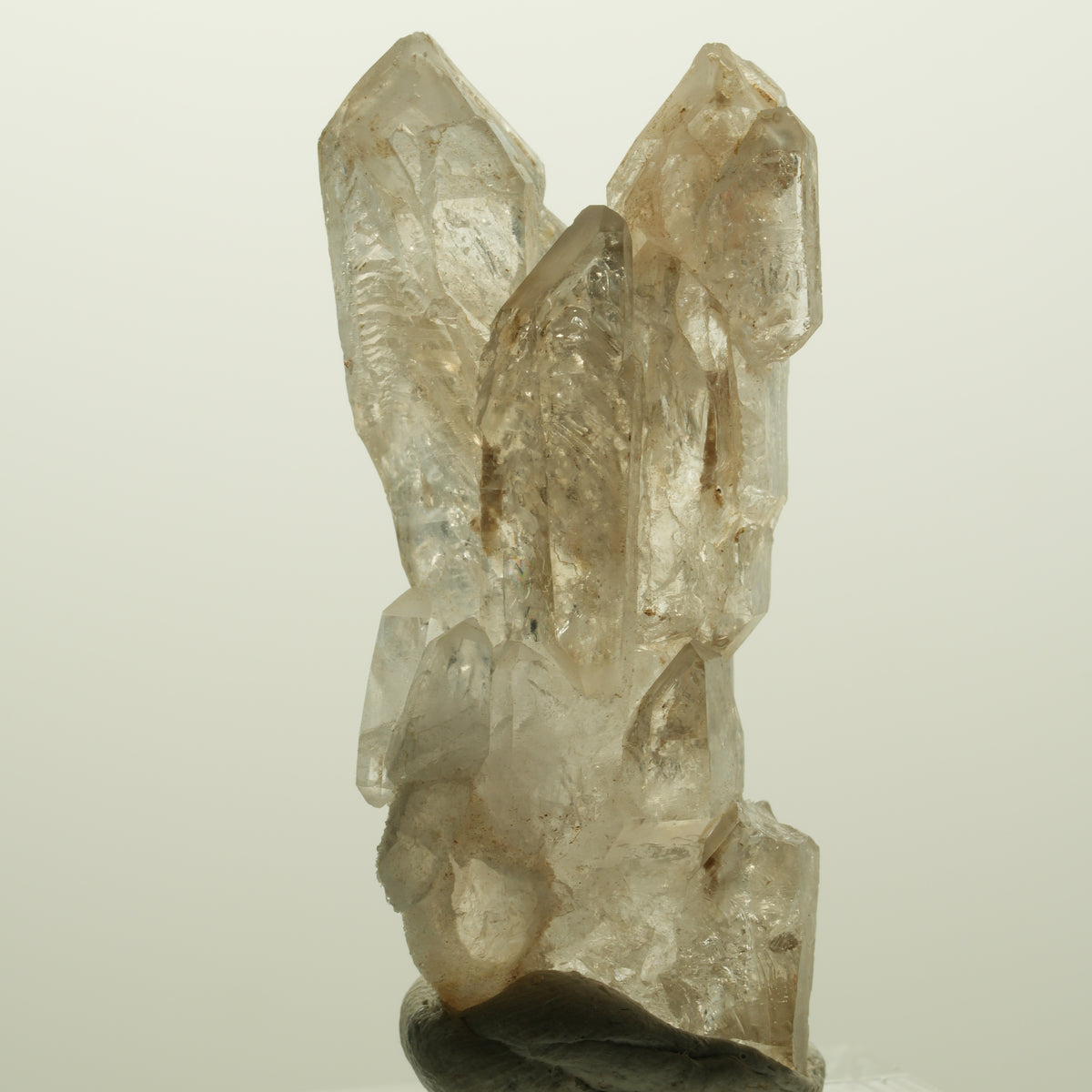 Skelett Phantom Rauchquarz Doppelender Gruppe Goboboseb, Namibia 53*25*16mm #14976