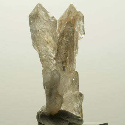 Skelett Phantom Rauchquarz Doppelender Gruppe Goboboseb, Namibia 53*25*16mm #14976