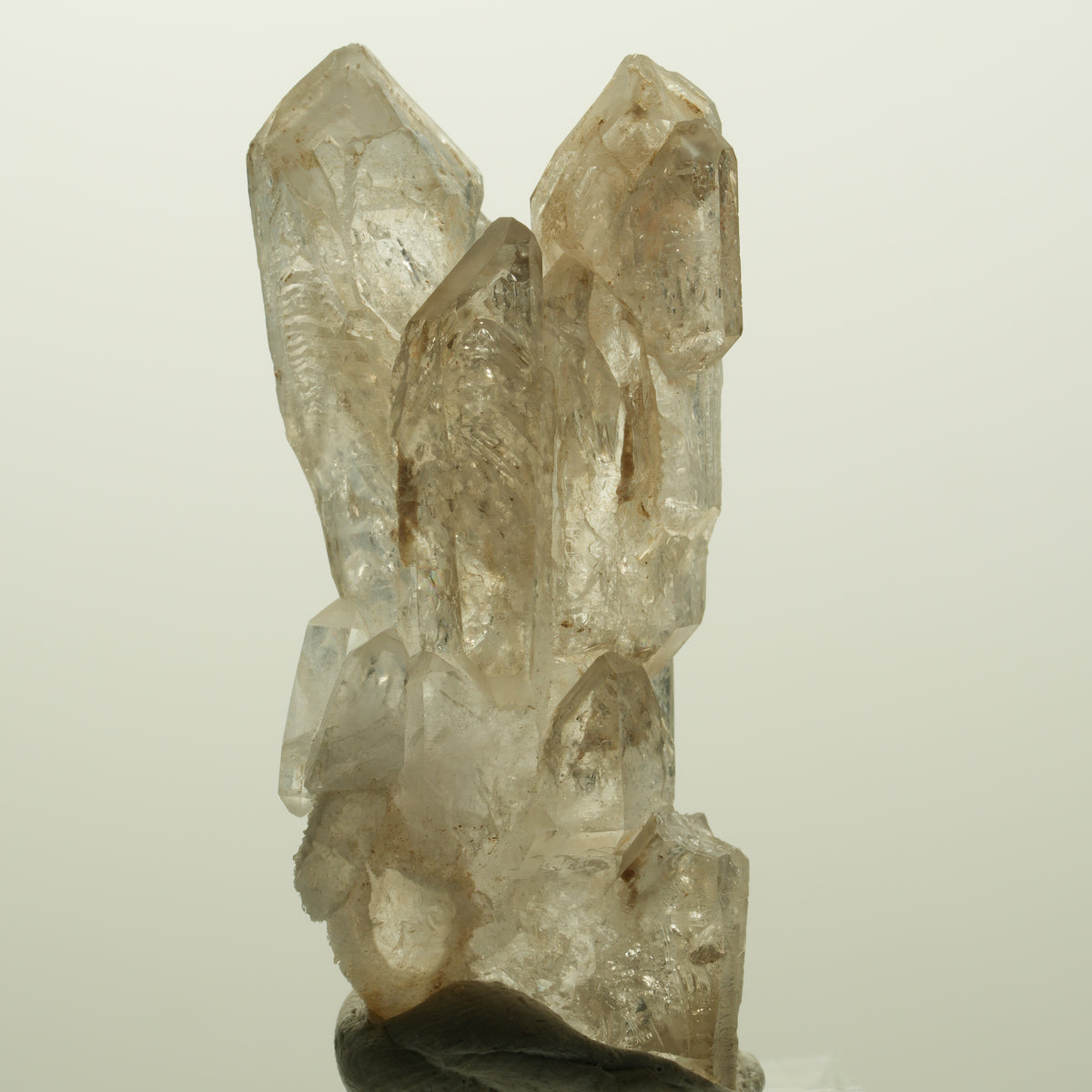 Skelett Phantom Rauchquarz Doppelender Gruppe Goboboseb, Namibia 53*25*16mm #14976