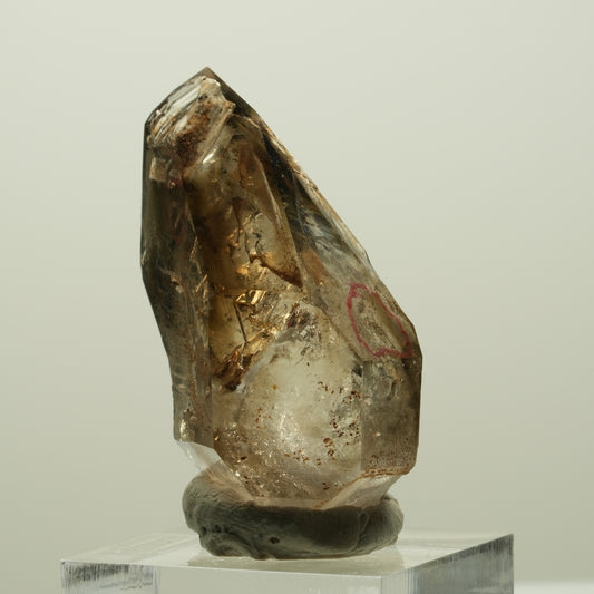 Enhydro Skelett Fenster Phantom Rauchquarz Zepter, 2x Blase Goboboseb, Namibia 43*24*20mm #14978