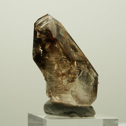 Enhydro Skelett Fenster Phantom Rauchquarz Zepter, 2x Blase Goboboseb, Namibia 43*24*20mm #14978