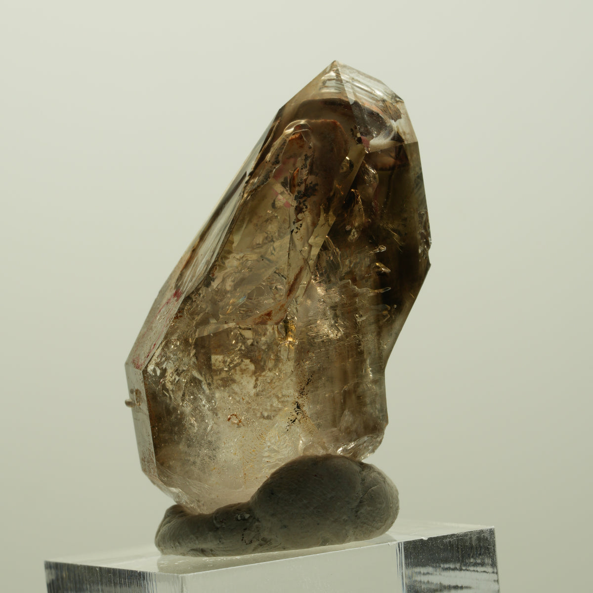 Enhydro Skelett Fenster Phantom Rauchquarz Zepter, 2x Blase Goboboseb, Namibia 43*24*20mm #14978