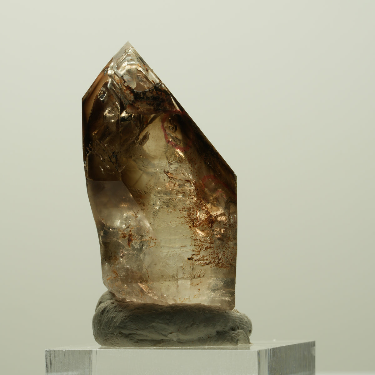Enhydro Skelett Fenster Phantom Rauchquarz Zepter, 2x Blase Goboboseb, Namibia 43*24*20mm #14978
