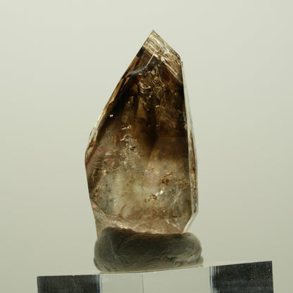Enhydro Skelett Fenster Phantom Rauchquarz Zepter, 2x Blase Goboboseb, Namibia 43*24*20mm #14978