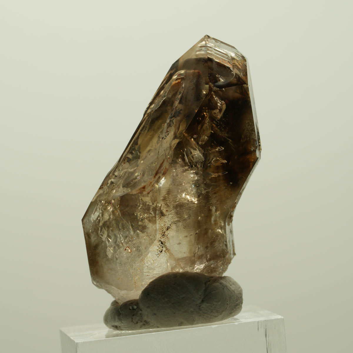 Enhydro Skelett Fenster Phantom Rauchquarz Zepter, 2x Blase Goboboseb, Namibia 43*24*20mm #14978