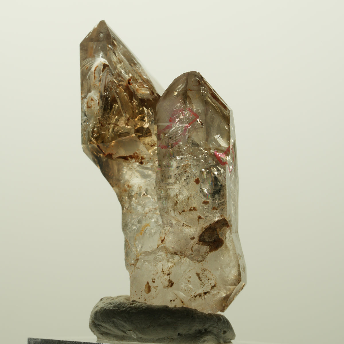 Enhydro Skelett Fenster Phantom Rauchquarz Zepter, 2x Blase Goboboseb, Namibia 48*30*19mm #14979
