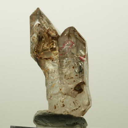 Enhydro Skelett Fenster Phantom Rauchquarz Zepter, 2x Blase Goboboseb, Namibia 48*30*19mm #14979