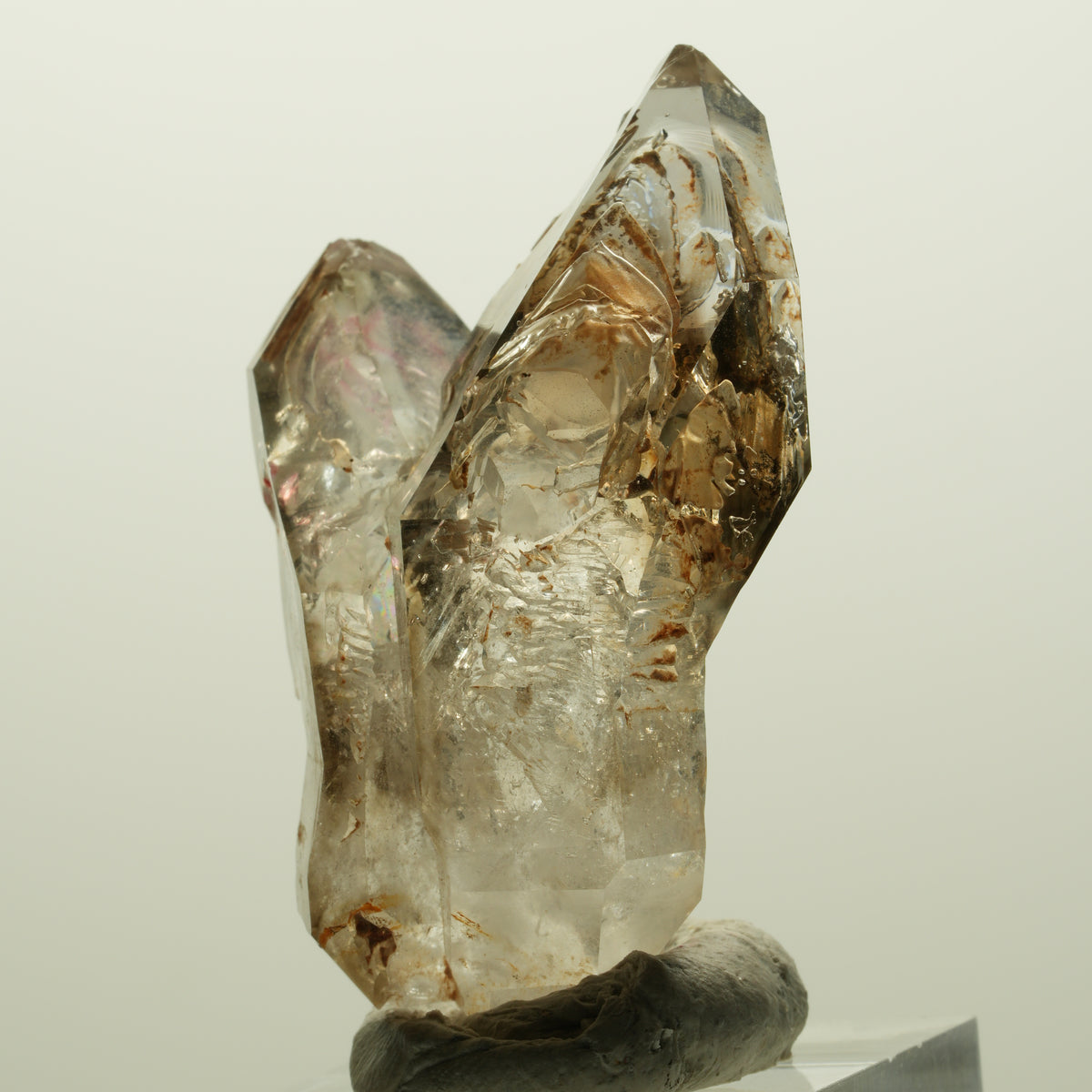 Enhydro Skelett Fenster Phantom Rauchquarz Zepter, 2x Blase Goboboseb, Namibia 48*30*19mm #14979