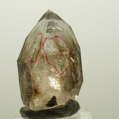 Enhydro Skelett Fenster Phantom Rauchquarz Zepter, 4x Blase Goboboseb, Namibia 43*27*25mm #14980