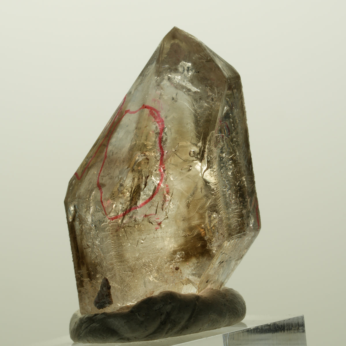 Enhydro Skelett Fenster Phantom Rauchquarz Zepter, 4x Blase Goboboseb, Namibia 43*27*25mm #14980
