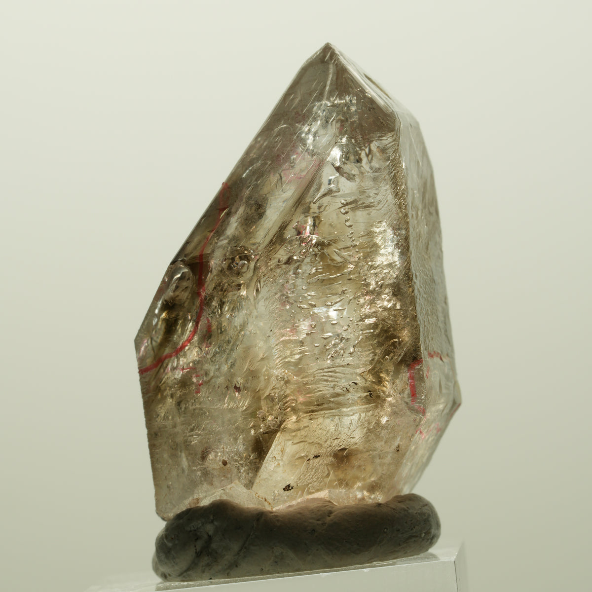 Enhydro Skelett Fenster Phantom Rauchquarz Zepter, 4x Blase Goboboseb, Namibia 43*27*25mm #14980