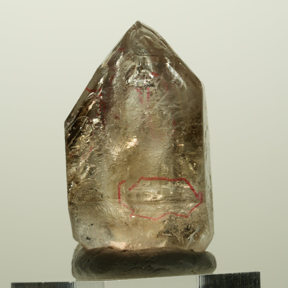 Enhydro Skelett Fenster Phantom Rauchquarz Zepter, 4x Blase Goboboseb, Namibia 43*27*25mm #14980
