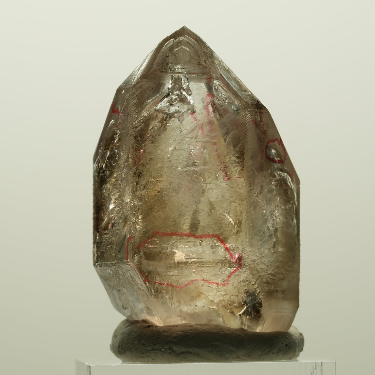 Enhydro Skelett Fenster Phantom Rauchquarz Zepter, 4x Blase Goboboseb, Namibia 43*27*25mm #14980