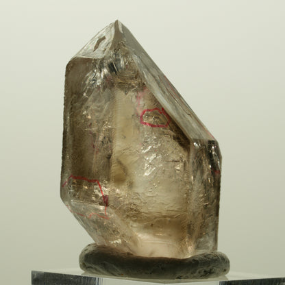 Enhydro Skelett Fenster Phantom Rauchquarz Zepter, 4x Blase Goboboseb, Namibia 43*27*25mm #14980