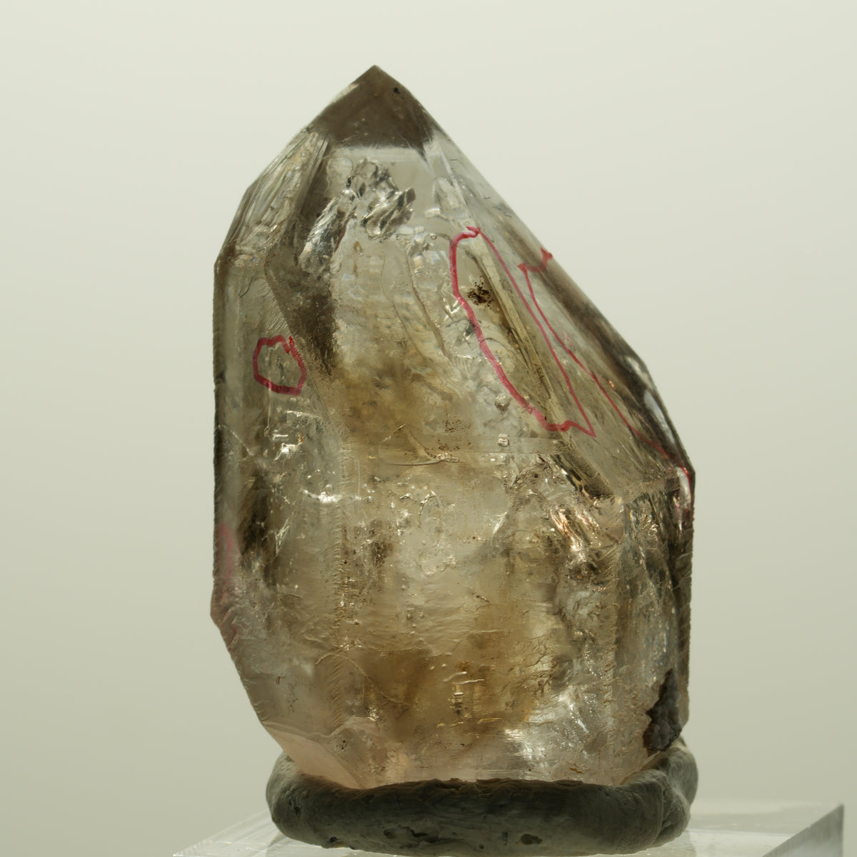 Enhydro Skelett Fenster Phantom Rauchquarz Zepter, 4x Blase Goboboseb, Namibia 43*27*25mm #14980