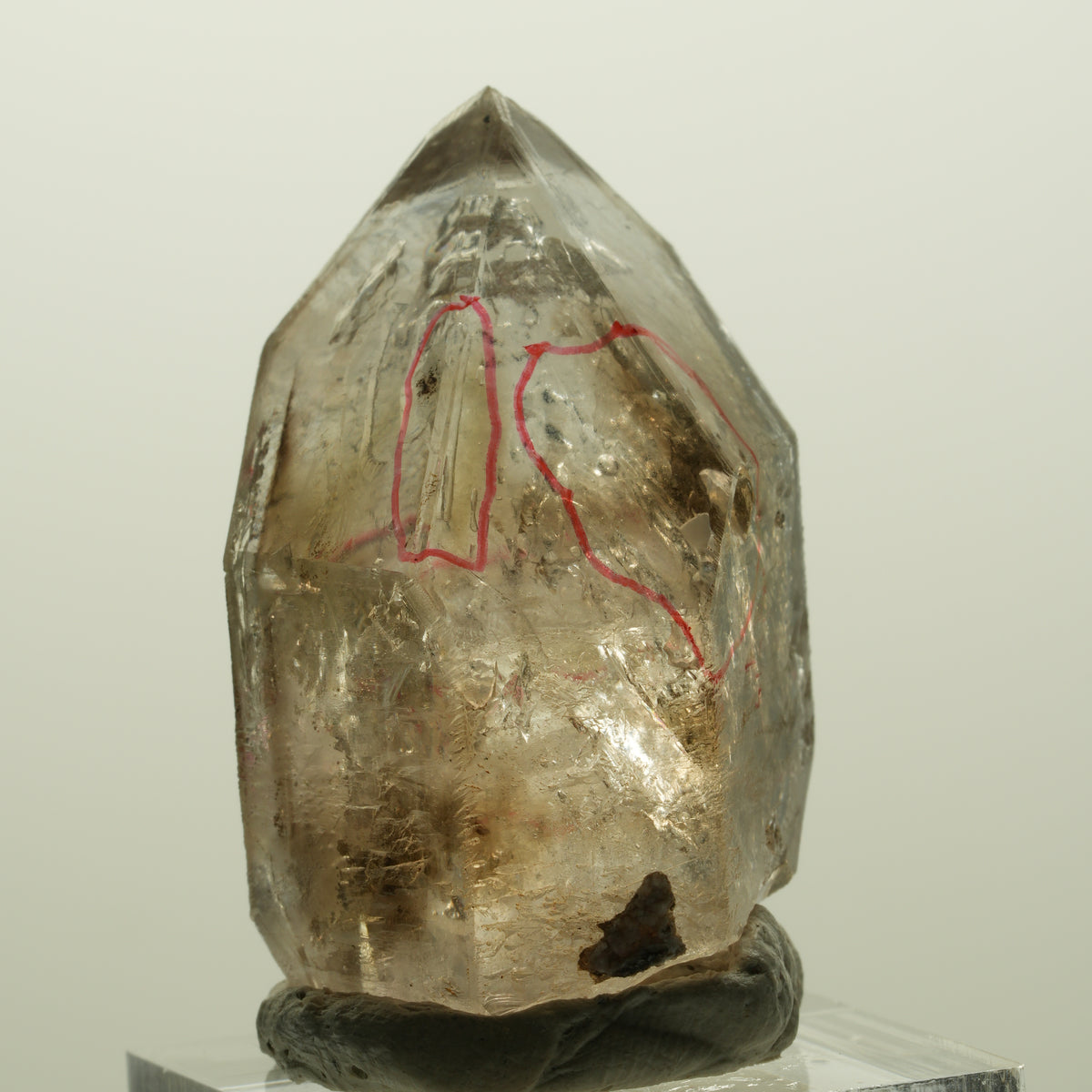Enhydro Skelett Fenster Phantom Rauchquarz Zepter, 4x Blase Goboboseb, Namibia 43*27*25mm #14980