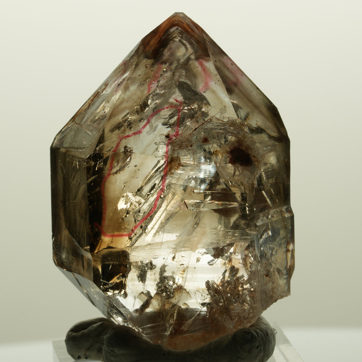 Enhydro Skelett Fenster Phantom Rauchquarz Zepter, 2x Blase Goboboseb, Namibia 44*31*21mm #14981