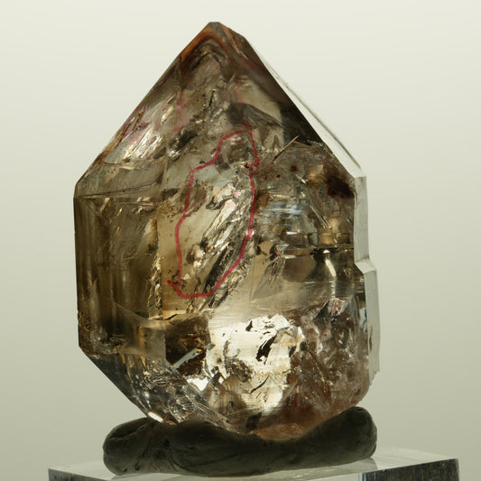 Enhydro Skelett Fenster Phantom Rauchquarz Zepter, 2x Blase Goboboseb, Namibia 44*31*21mm #14981