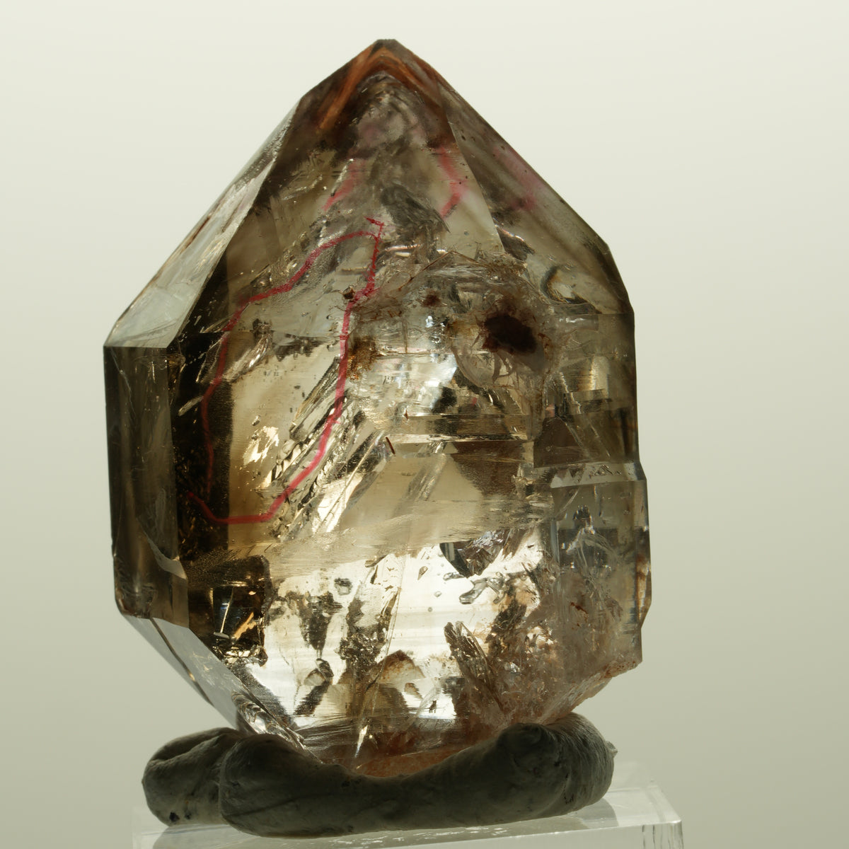 Enhydro Skelett Fenster Phantom Rauchquarz Zepter, 2x Blase Goboboseb, Namibia 44*31*21mm #14981