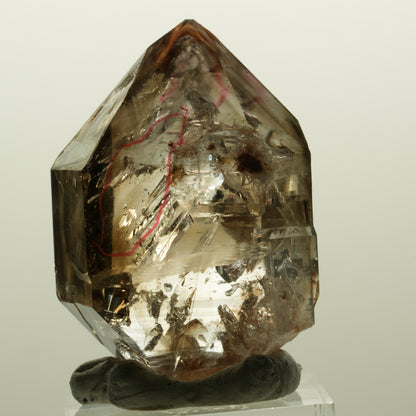 Enhydro Skelett Fenster Phantom Rauchquarz Zepter, 2x Blase Goboboseb, Namibia 44*31*21mm #14981