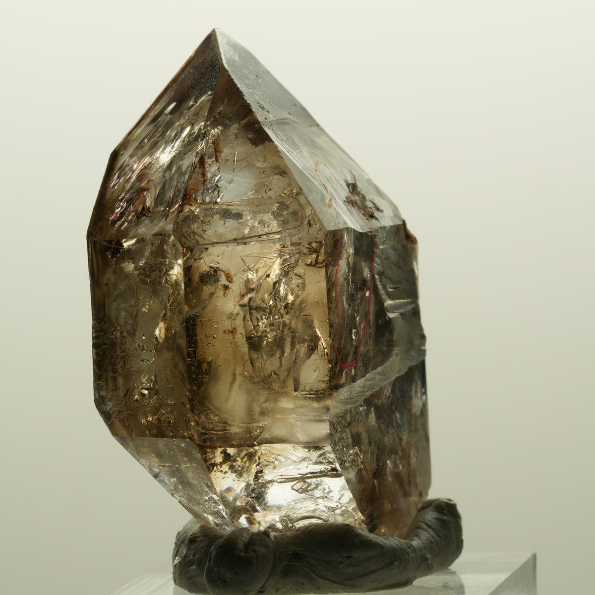 Enhydro Skelett Fenster Phantom Rauchquarz Zepter, 2x Blase Goboboseb, Namibia 44*31*21mm #14981