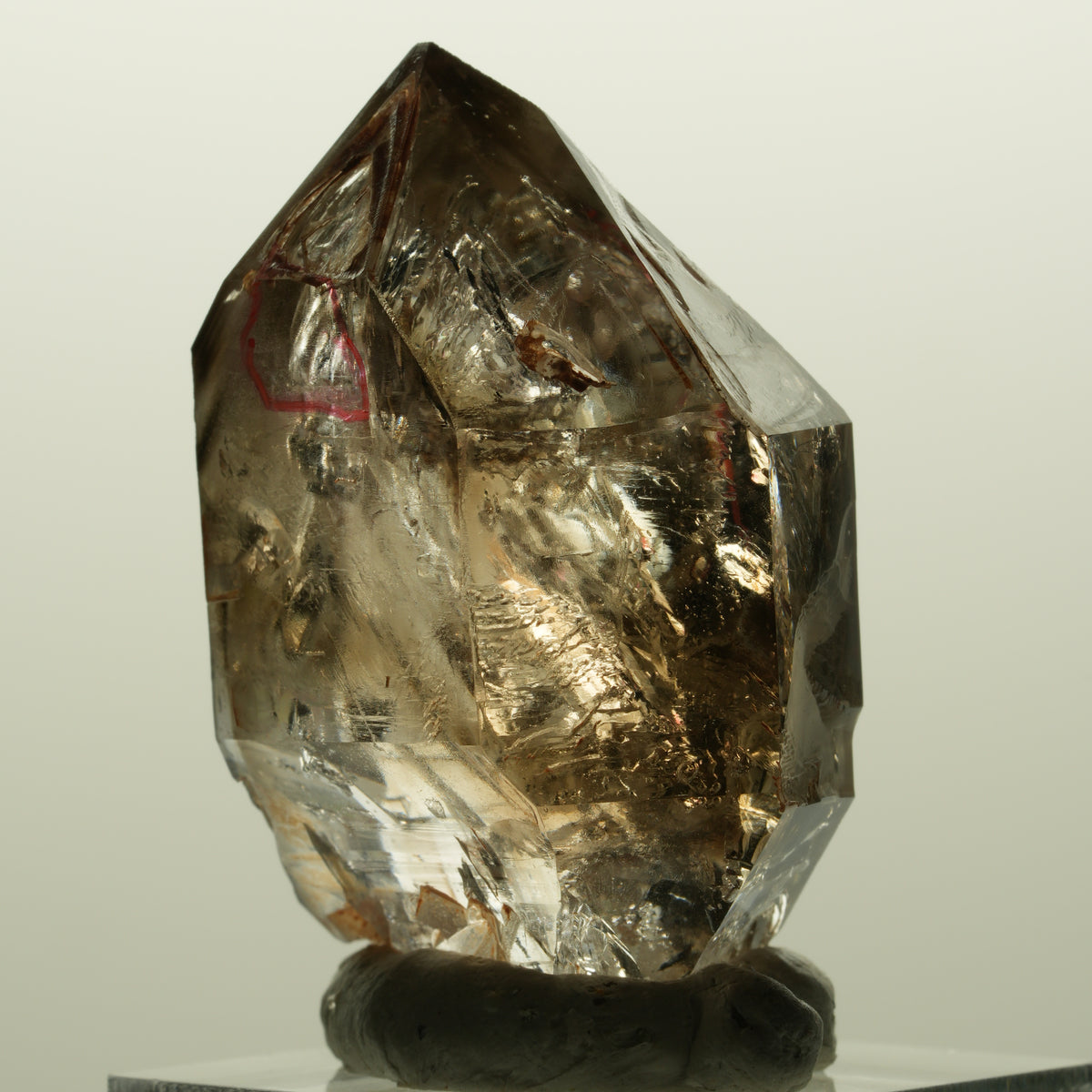 Enhydro Skelett Fenster Phantom Rauchquarz Zepter, 2x Blase Goboboseb, Namibia 44*31*21mm #14981