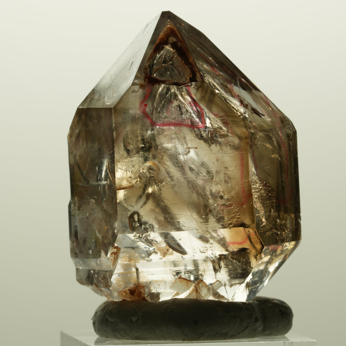 Enhydro Skelett Fenster Phantom Rauchquarz Zepter, 2x Blase Goboboseb, Namibia 44*31*21mm #14981