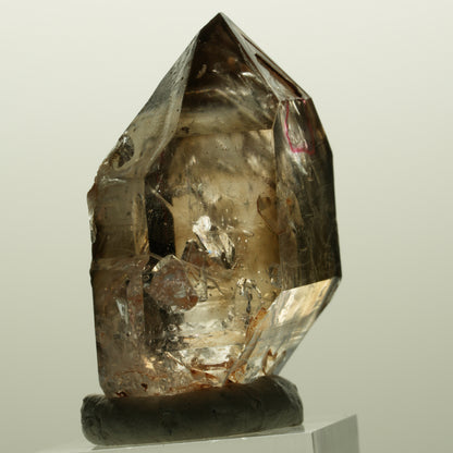 Enhydro Skelett Fenster Phantom Rauchquarz Zepter, 2x Blase Goboboseb, Namibia 44*31*21mm #14981