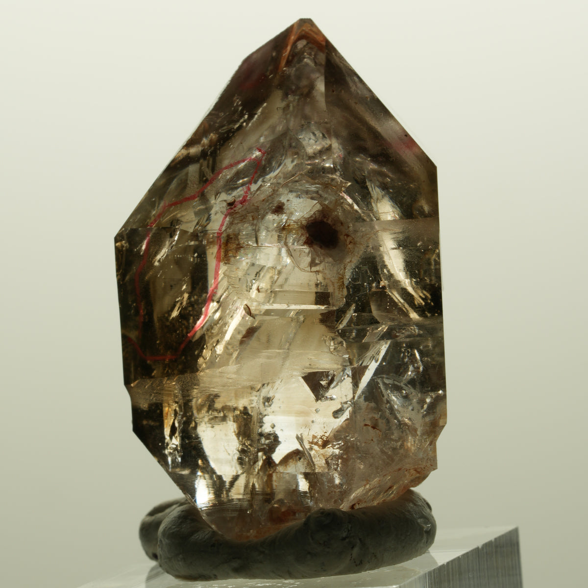 Enhydro Skelett Fenster Phantom Rauchquarz Zepter, 2x Blase Goboboseb, Namibia 44*31*21mm #14981