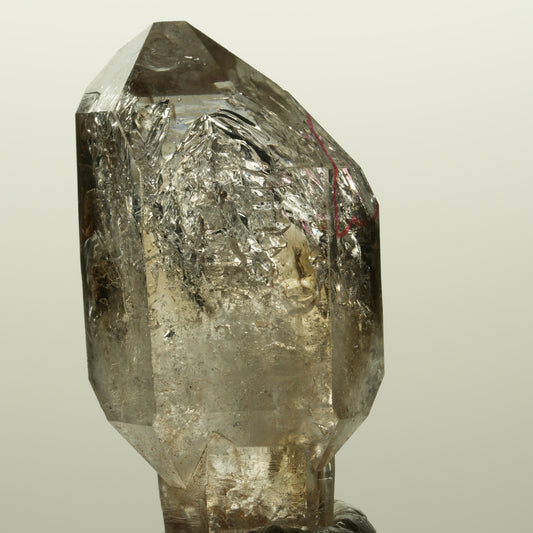 Enhydro Skelett Fenster Phantom Rauchquarz Zepter, 1x Blase Goboboseb, Namibia 46*23*17mm #14982