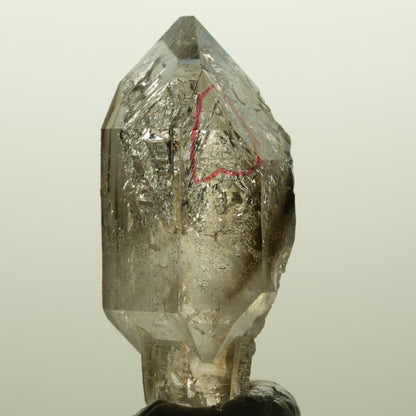 Enhydro Skelett Fenster Phantom Rauchquarz Zepter, 1x Blase Goboboseb, Namibia 46*23*17mm #14982