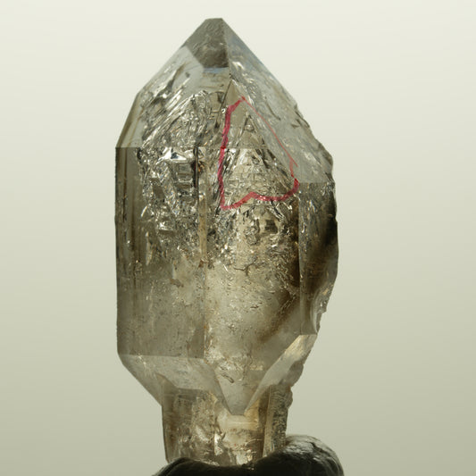 Enhydro Skelett Fenster Phantom Rauchquarz Zepter, 1x Blase Goboboseb, Namibia 46*23*17mm #14982