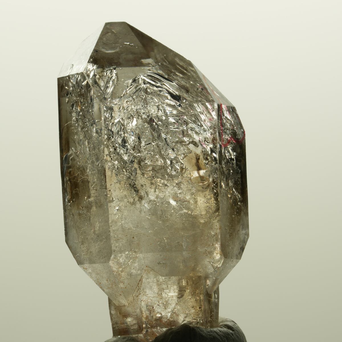 Enhydro Skelett Fenster Phantom Rauchquarz Zepter, 1x Blase Goboboseb, Namibia 46*23*17mm #14982
