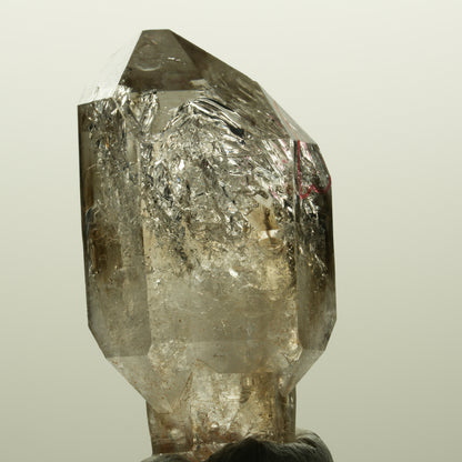 Enhydro Skelett Fenster Phantom Rauchquarz Zepter, 1x Blase Goboboseb, Namibia 46*23*17mm #14982