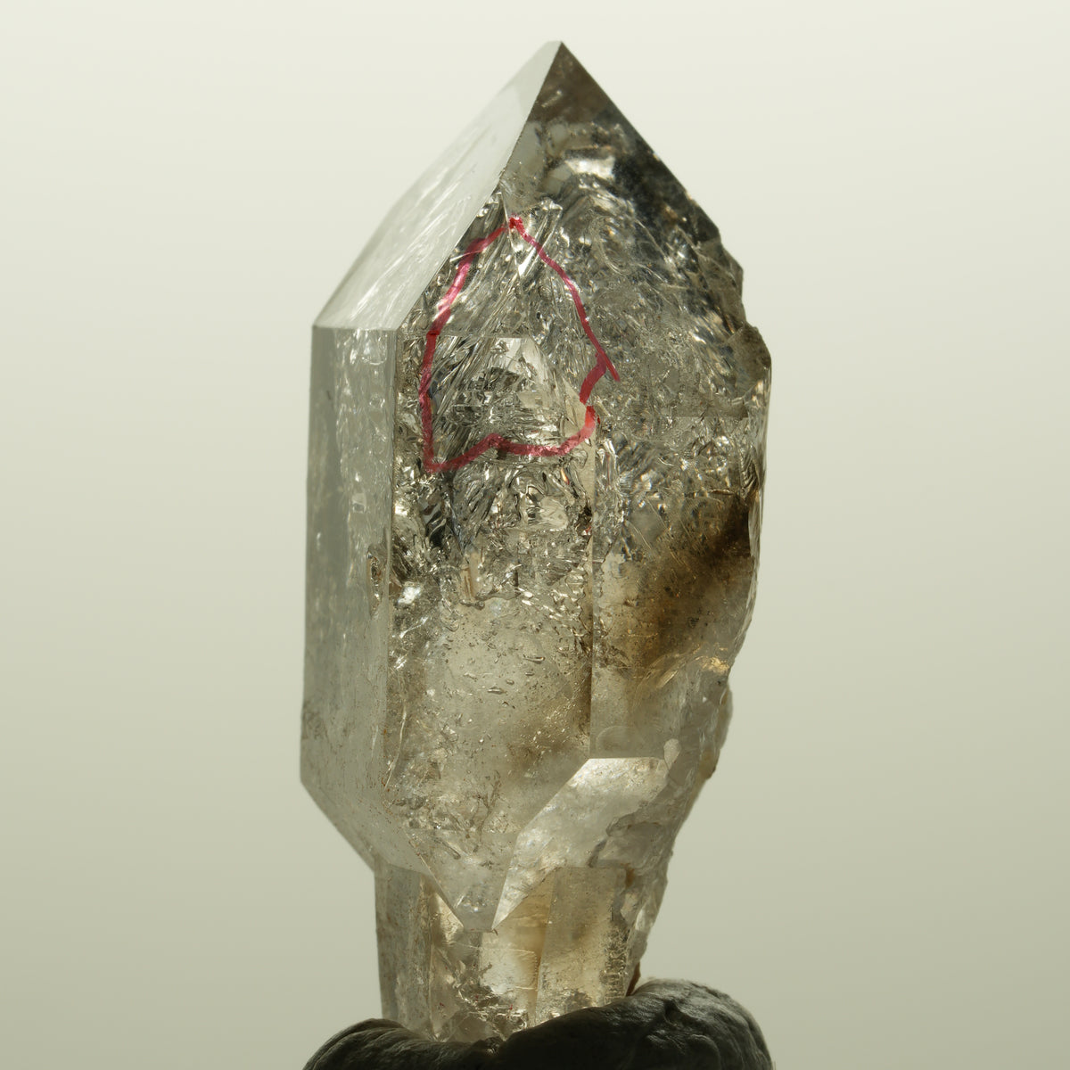 Enhydro Skelett Fenster Phantom Rauchquarz Zepter, 1x Blase Goboboseb, Namibia 46*23*17mm #14982