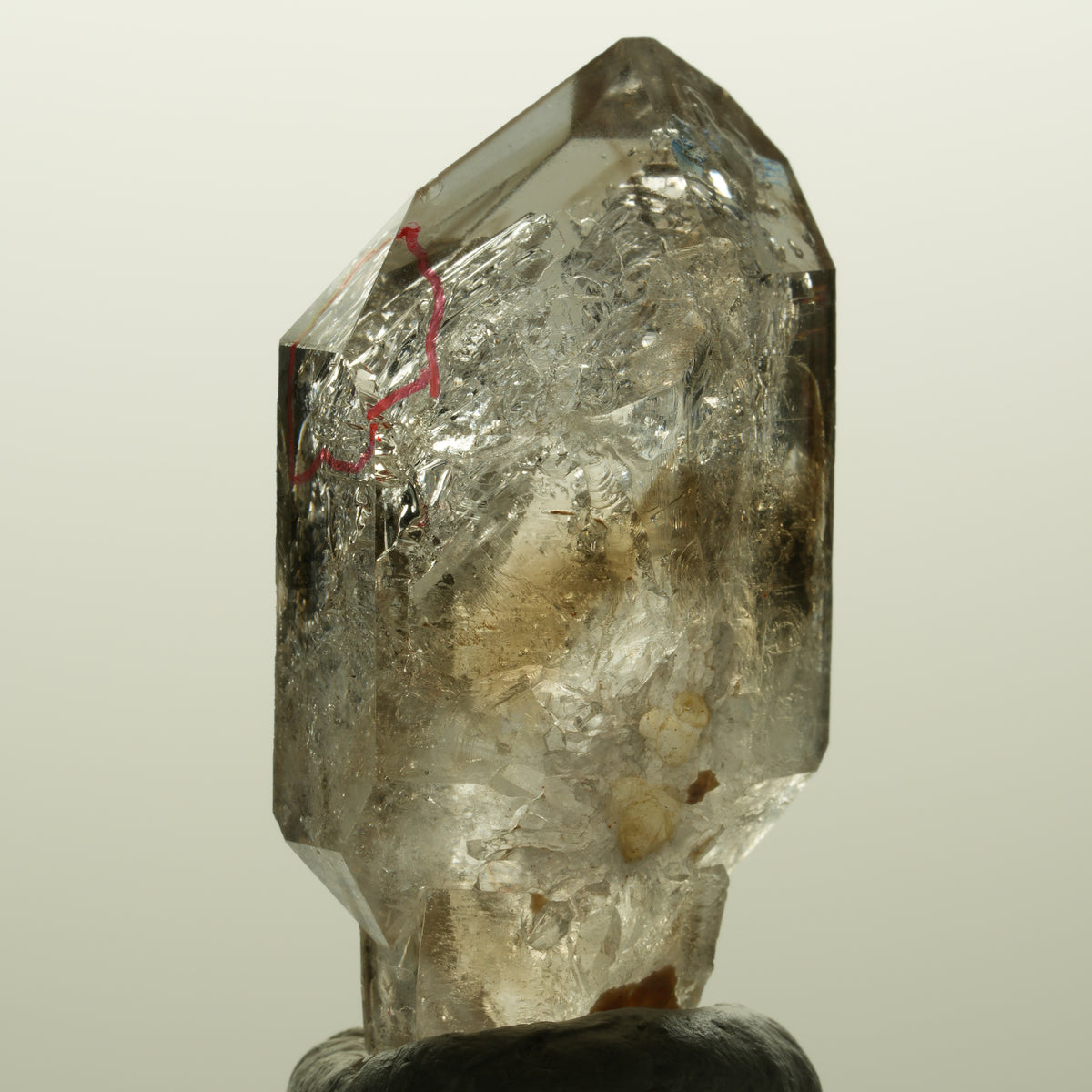 Enhydro Skelett Fenster Phantom Rauchquarz Zepter, 1x Blase Goboboseb, Namibia 46*23*17mm #14982