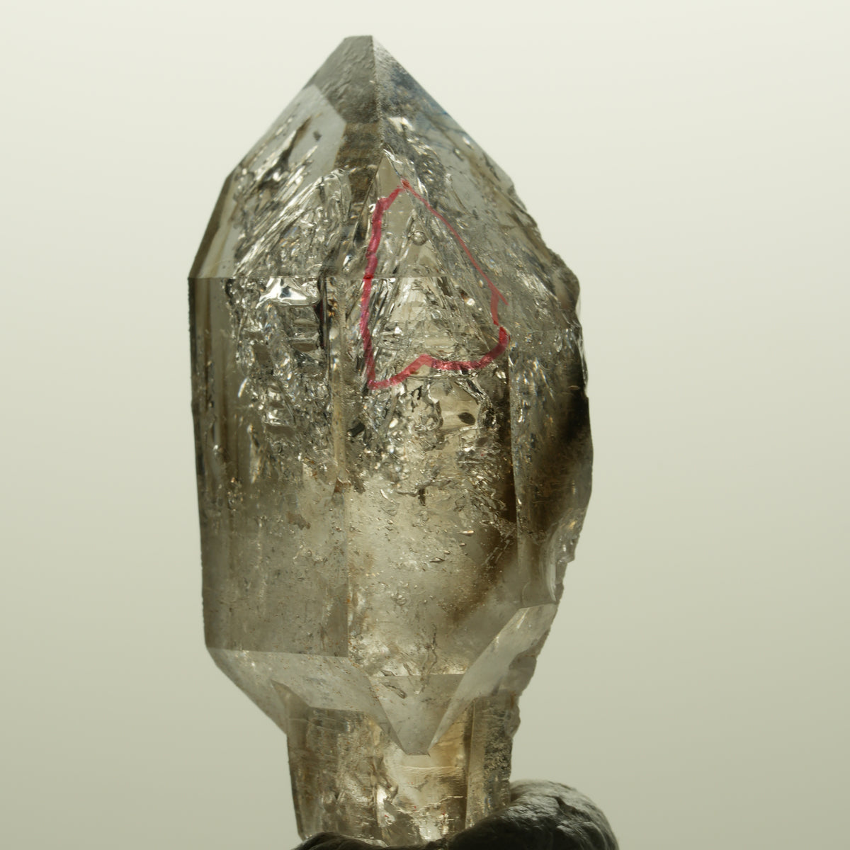 Enhydro Skelett Fenster Phantom Rauchquarz Zepter, 1x Blase Goboboseb, Namibia 46*23*17mm #14982