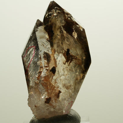 Enhydro Skelett Fenster Phantom Rauchquarz Zepter, 2x Blase Goboboseb, Namibia 56*31*27mm #14983