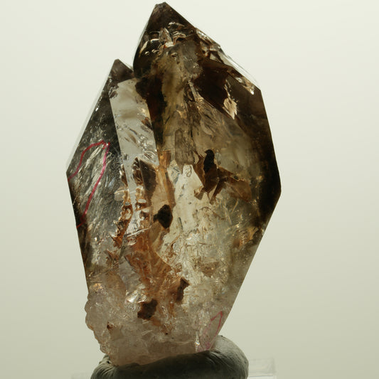 Enhydro Skelett Fenster Phantom Rauchquarz Zepter, 2x Blase Goboboseb, Namibia 56*31*27mm #14983