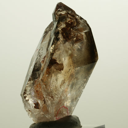 Enhydro Skelett Fenster Phantom Rauchquarz Zepter, 2x Blase Goboboseb, Namibia 56*31*27mm #14983