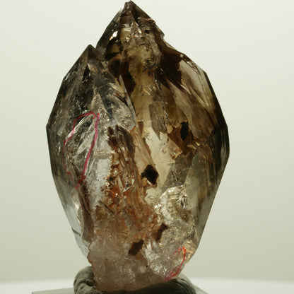 Enhydro Skelett Fenster Phantom Rauchquarz Zepter, 2x Blase Goboboseb, Namibia 56*31*27mm #14983