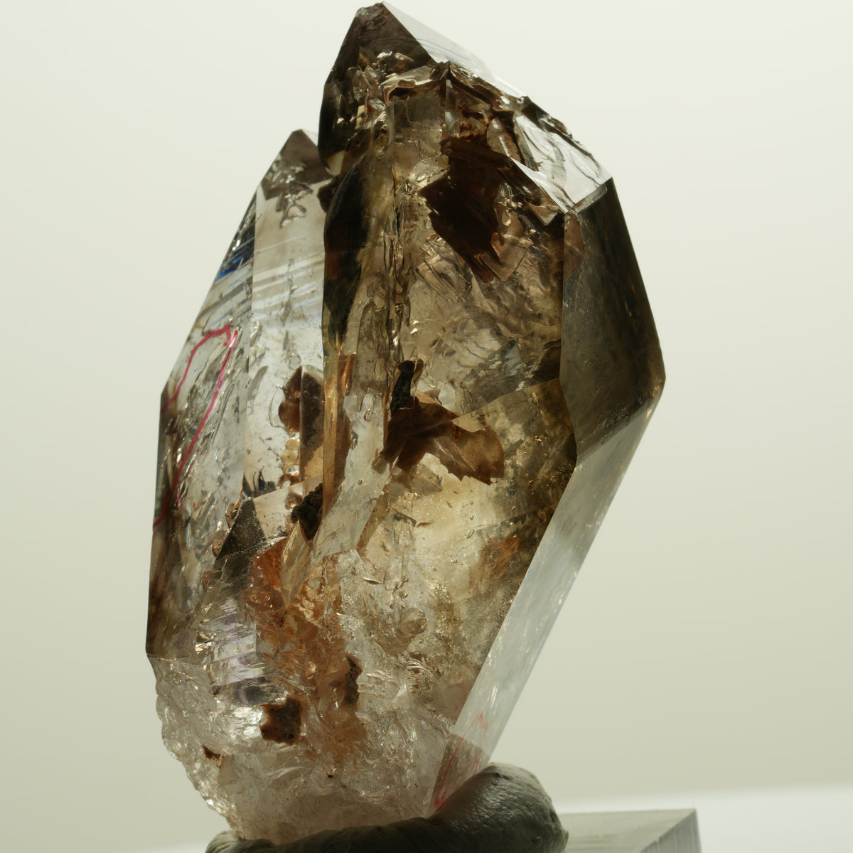 Enhydro Skelett Fenster Phantom Rauchquarz Zepter, 2x Blase Goboboseb, Namibia 56*31*27mm #14983