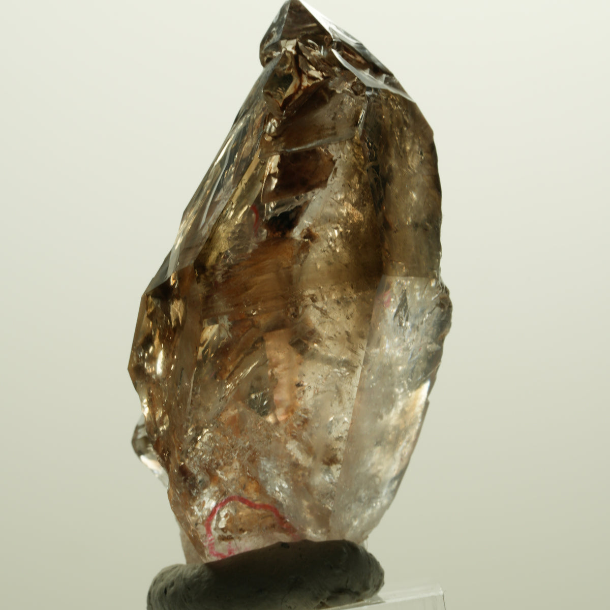Enhydro Skelett Fenster Phantom Rauchquarz Zepter, 2x Blase Goboboseb, Namibia 56*31*27mm #14983