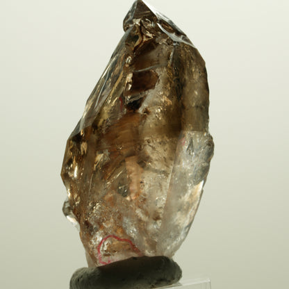 Enhydro Skelett Fenster Phantom Rauchquarz Zepter, 2x Blase Goboboseb, Namibia 56*31*27mm #14983