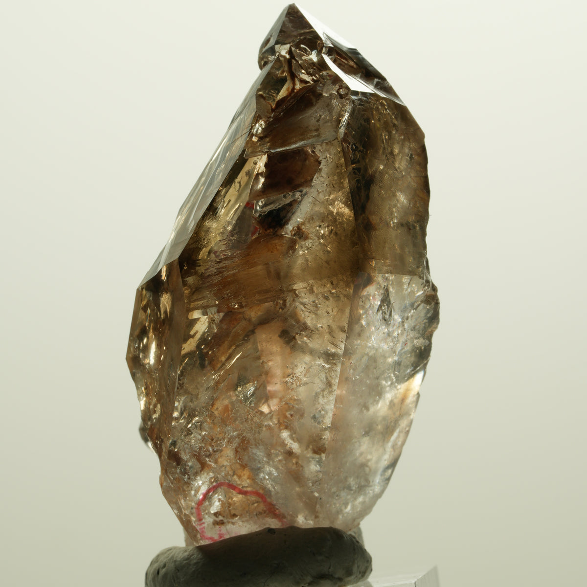 Enhydro Skelett Fenster Phantom Rauchquarz Zepter, 2x Blase Goboboseb, Namibia 56*31*27mm #14983