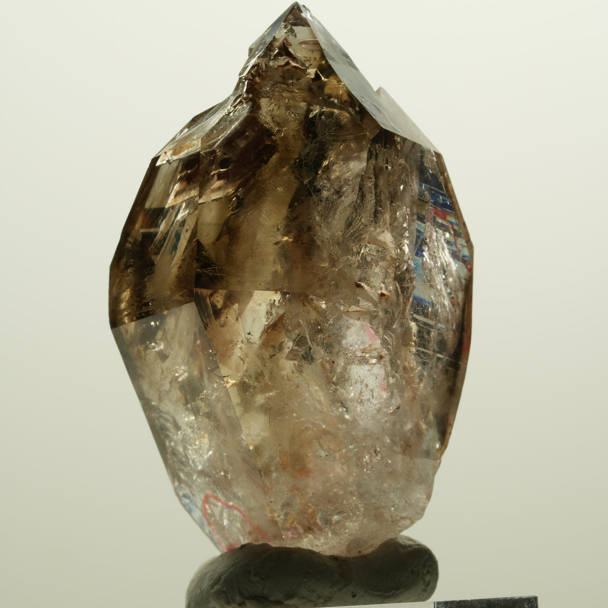 Enhydro Skelett Fenster Phantom Rauchquarz Zepter, 2x Blase Goboboseb, Namibia 56*31*27mm #14983